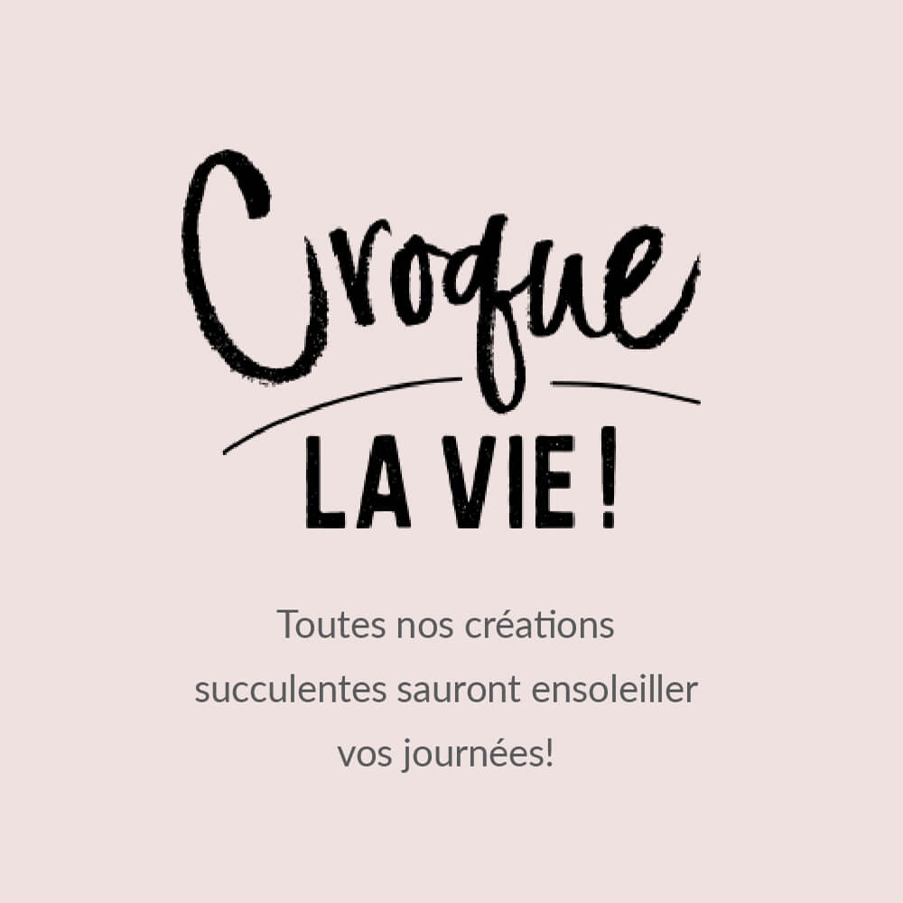 Croque la vie