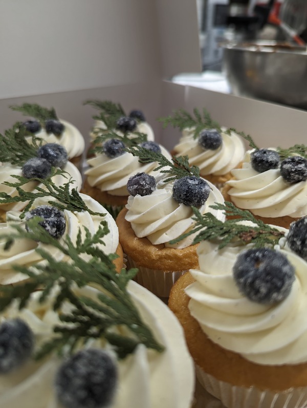 PXL_20231215_182947371